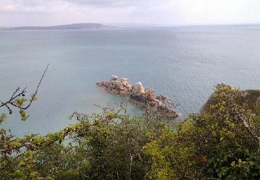 Tour Wandern Crozon - ile vierge depuis morgat - Photo