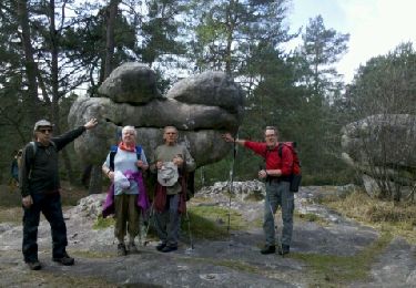 Tocht Stappen Fontainebleau - 140402 - Photo