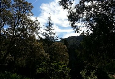 Tocht Mountainbike Théoule-sur-Mer - Esterel - Photo