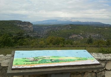 Excursión Bicicleta Cabrières-d'Avignon - Cabrières Sault - Photo