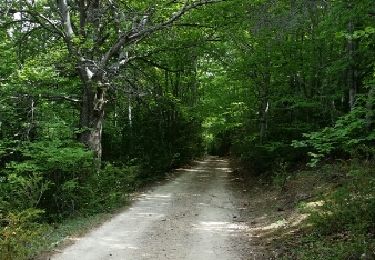 Trail Walking Aiguines - Belvédère, gorges, Inbut, sentier Vidal - Photo