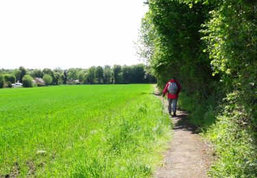 Trail Walking Ham-sur-Heure-Nalinnes - Marche Adeps à Ham-sur-Heure - Photo
