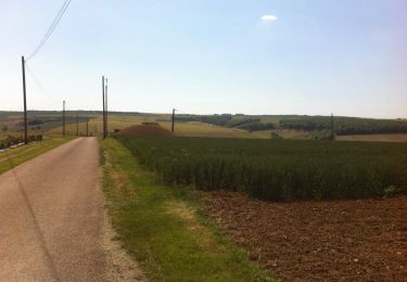 Trail Walking Pontigny - vélo enfants - Photo