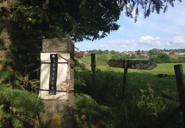 Trail Walking Blegny - blegny mine - Photo