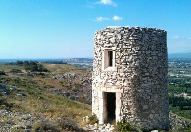 Tour Wandern Orgon - Orgon - Photo