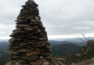 Tour Wandern La Garde-Freinet - La garde frenet - Photo