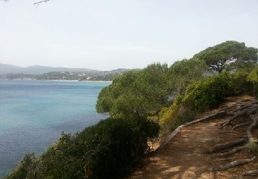 Randonnée Marche La Croix-Valmer - CAP LARDIER  - Photo