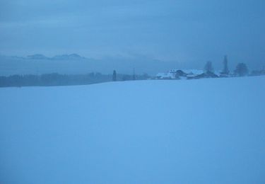 Tocht Wintersport Morrens - Au boulot à ski, aller-retour, déc 2009 - Photo