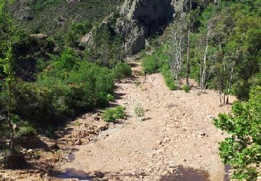 Tour Mountainbike Saint-Raphaël - Camp long - lac de l'écureuil - Photo