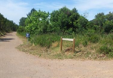 Tour Mountainbike Saint-Raphaël - Route des cols - Photo