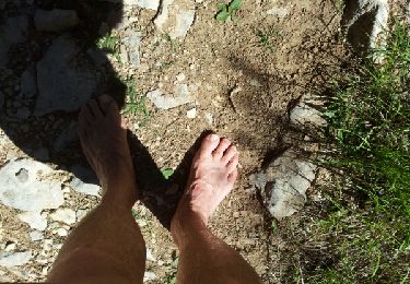 Tocht Stappen La Bastide - col de Clavel- gorge d'Artuby - Photo