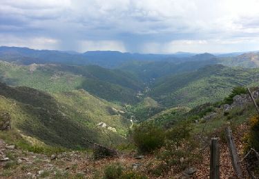 Tour Wandern Val-d'Aigoual - mont Aigoual - Photo