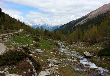 Trail Walking Villar-Saint-Pancrace - Briançonnais Chalets des Ayes - Photo