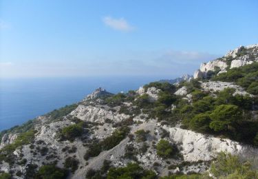 Trail Walking Marseille - Calanque of Marseilleveyre - Photo