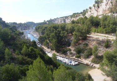 Trail Walking Cassis - Calanques of Port-Miou and Port Pin - Photo