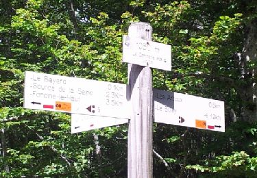 Excursión Senderismo Foncine-le-Haut - Foncine_Source de la Saine 16.5 km - Photo