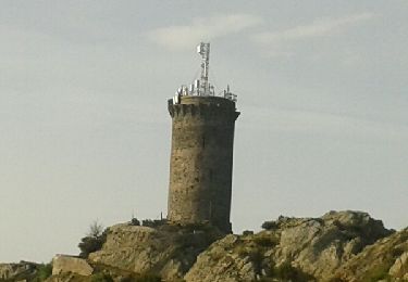 Trail Walking Collioure - Tour Madeloc  8 juin 2014 - Photo