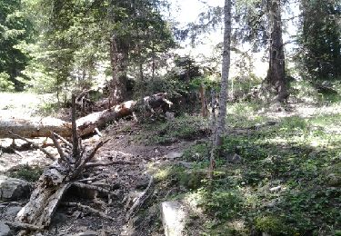 Excursión Senderismo La Bollène-Vésubie - la cime de l'apriha - Photo