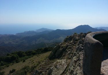 Tour Wandern Argelès-sur-Mer - Argeles sur mer - De Valmy à la tour Massane - Photo