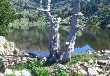 Tocht Stappen Chamrousse - chamrousse-lac achard-la botte - Photo