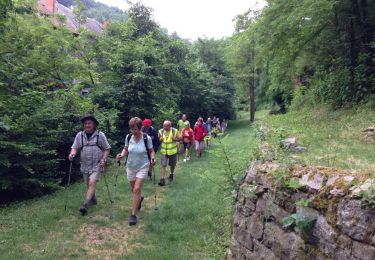 Trail Walking Thiers - Marche du 17-6-2014 - Photo