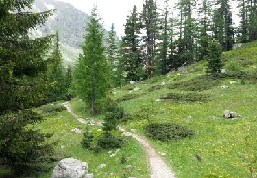 Tour Wandern Saint-Martin-Vésubie - lacs de Prals - les cinq lcs - Photo