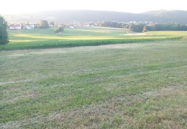 Randonnée Autre activité Berche - essai - Photo