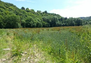 Tour Wandern Houyet - la lesse de bas en haut - Photo