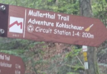 Trail Walking Waldbillig - breidweiler - Photo
