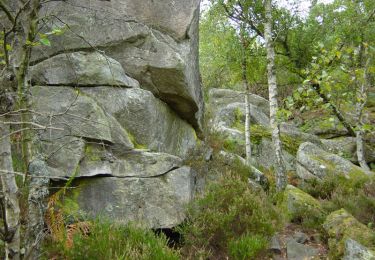 Trail Walking Fontainebleau - Les Gorges d'Apremont  en forêt de Fontainebleau  - Photo