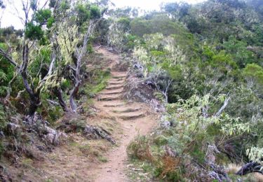 Trail Walking La Possession - GR® R3 Le Tour de Mafate - De Cayenne à l'îlet Malheur - Photo