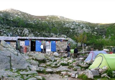 Tour Wandern Cozzano - GR 20® du refuge d'Usciolu au refuge d'Asinau - Photo