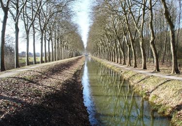 Trail Equestrian Blancafort - Le Canal de la Sauldre - Blancafort - Photo