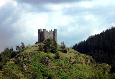 Tour Wandern Alleuze - Le site d'Alleuze en Auvergne PR®  - Photo