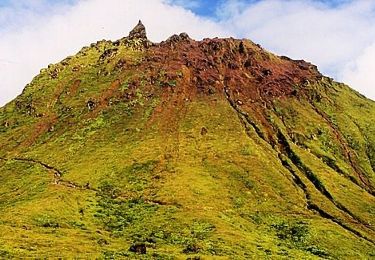 Randonnée Course à pied Basse-Terre - Volcano Trail - Grand Raid de la Région Guadeloupe - Édition 2009 - Photo