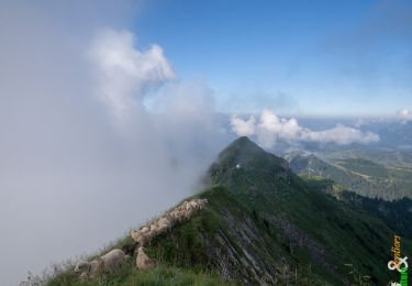 Randonnée Marche Verchaix - La Pointe d'Angolon 2090 m, depuis les Chalets de Joux Plane - Photo
