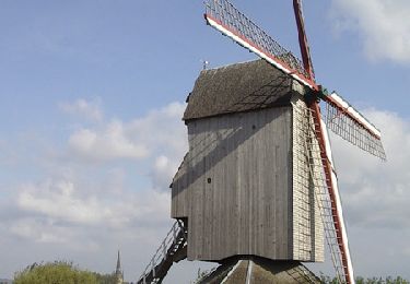 Tour Pferd Oudezeele - La ronde des moulins à vent - Oudezeele - Photo
