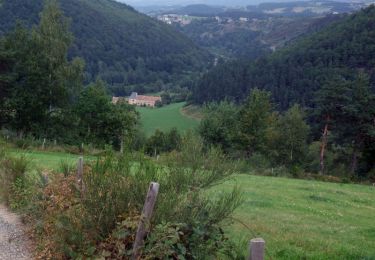 Excursión Senderismo Val d'Arcomie - La vallée de la Truyère près de Loubaresse - Photo