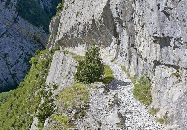 Tocht Stappen Urdos - Les lacs d'Ayous dans le Parc National des Pyrénées en 3 jours - Photo