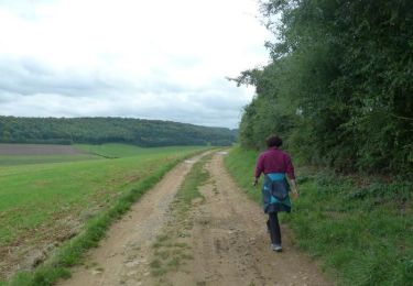 Trail Walking Flize - Balade entre Balaives-et-Butz et Boutancourt  - Photo