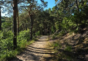 Trail Walking Châtel-Guyon - Autour de la vallée des Prades - Chatel-Guyon - Photo
