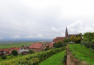 Randonnée Marche Husseren-les-Châteaux - Balade à Husseren Les Châteaux - Photo