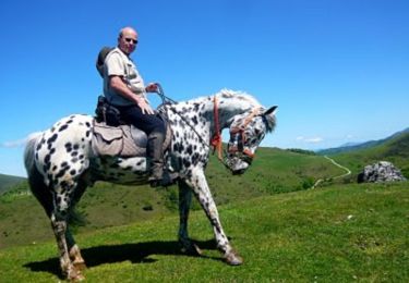 Tour Pferd Saint-Palais - Sentier des Contrebandiers - de St Palais à Ostabat-Asme au Pays Basque  - Photo