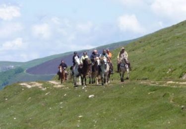 Tour Pferd Ostabat-Asme - Sentier des Contrebandiers - de Ostabat à Lasse au Pays Basque - Photo