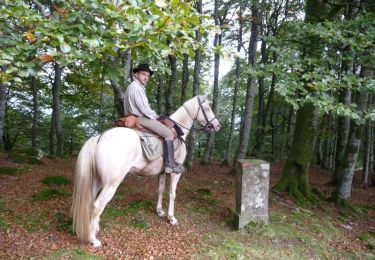 Tour Pferd Lasse - Sentier des Contrebandiers - Lasse à Espila au Pays Basque - Photo