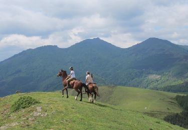 Tocht Paard Urepel - Sentier des Contrebandiers - de Urepel au col d'Elhorrieta au Pays Basque - Photo