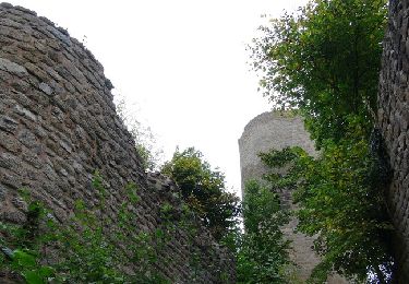 Randonnée Marche Wintzenheim - Du Château de Pflixbourg au Château du Hohlandsbourg - Photo