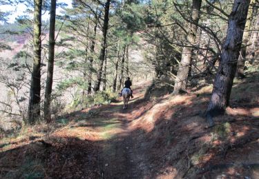 Trail Equestrian Sare - Sentier des Contrebandiers - de Sare à Biriatou au Pays Basque - Photo