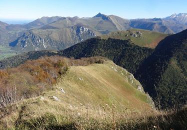 Trail Walking Bilhères - Le Rocher d'Aran - Bilhères en Ossau  - Photo