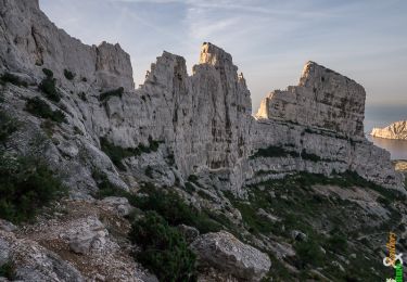 Trail Walking Marseille - Le Sommet de Marseilleveyre 433m, par le Pas de la Demi-Lune et le Vallon de la Mounine - Photo